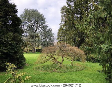 Villa Boveri Park Or Der Garten Der Villa Boveri Or Landschaftsgarten (parkanlage Der Villa Boveri),