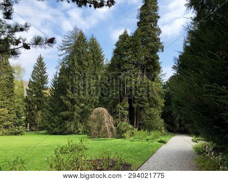 Villa Boveri Park Or Der Garten Der Villa Boveri Or Landschaftsgarten (parkanlage Der Villa Boveri),