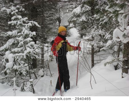 Sci nella foresta