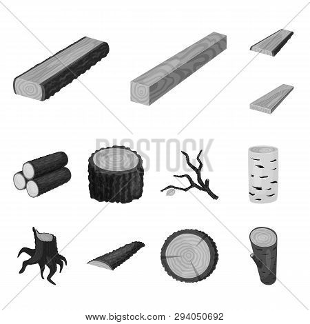 Vector Design Of Forest And Wooden Sign. Collection Of Forest And Nature  Stock Vector Illustration.