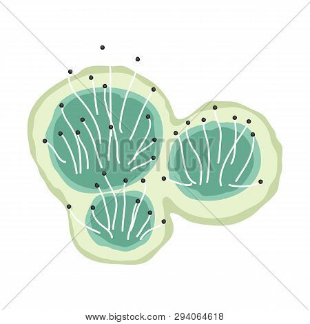 Green Mold Icon. Illustration Solated On White Background.