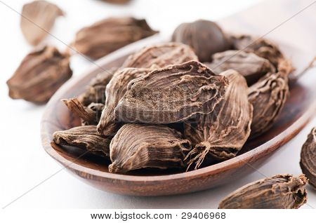 Black Cardamom on Spoon