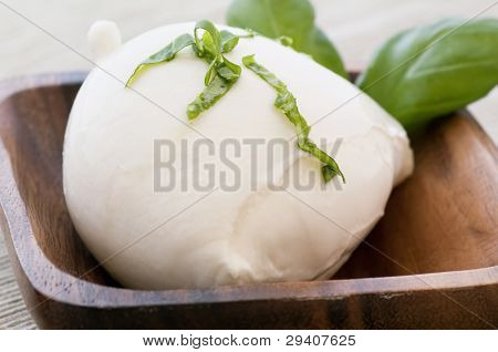 Buffalo Mozzarella