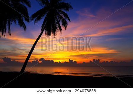 Sunrise And Silhouette Coconut On Beach At Thung Wua Lan Beach, Chumphon Province Thailand