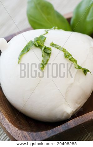 Buffalo Mozzarella