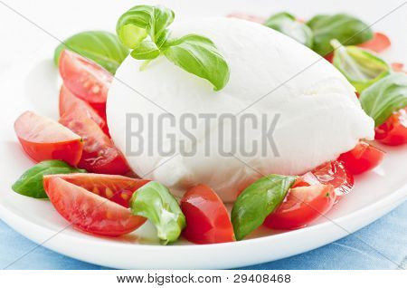 Tomato Mozzarella