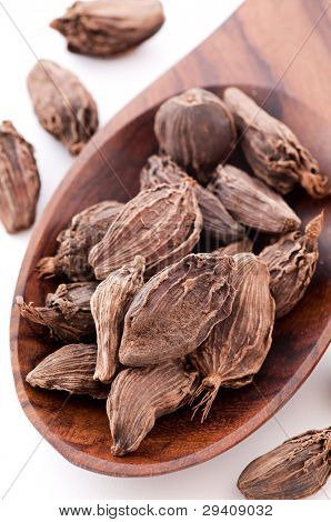 Black Cardamom on Spoon