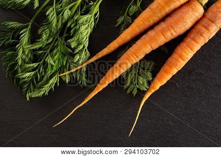 Group Of Three Whole Fresh Orange Carrot With Greens Flatlay On Grey Stone
