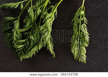 Fresh Orange Carrot Greens Flatlay On Grey Stone
