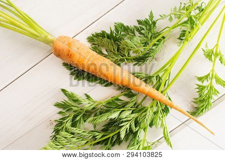 One Whole Fresh Orange Carrot With Greens Flatlay On White Wood