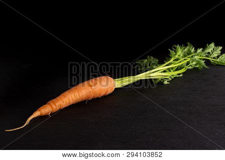 One Whole Fresh Orange Carrot With Greens On Grey Stone