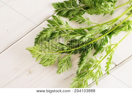 Fresh Orange Carrot Greens Flatlay On White Wood