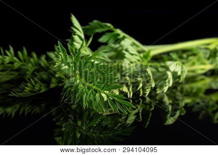 Fresh Orange Carrot Greens Isolated On Black Glass
