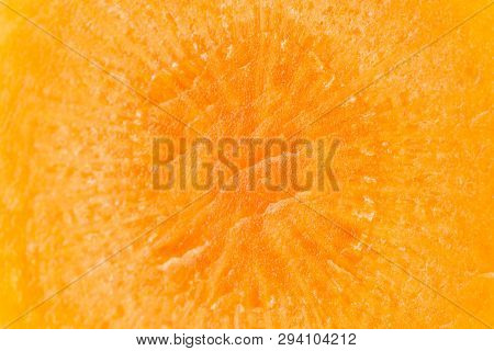 Macro Closeup Of One Slice Of Fresh Orange Carrot Isolated