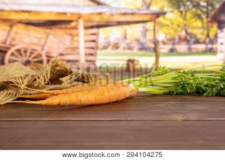 Group Of Three Whole Fresh Orange Carrot With Greens And A Jute Bag In A Yard
