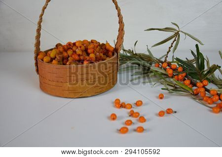 Branch Of Sea Buckthorn Berries With Leaves. Clipping Paths, Shadow Separated, Infinite Depth Of Fie