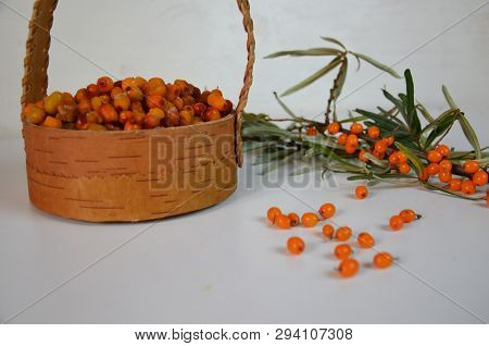 Branch Of Sea Buckthorn Berries With Leaves. Clipping Paths, Shadow Separated, Infinite Depth Of Fie