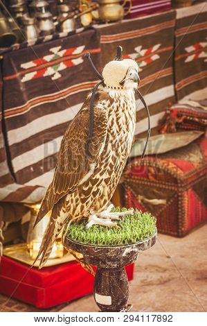 A Falcon Wearing Its Hood In Dubai, United Arab Emirates. Traditional Arabic Colourful Objects On A 