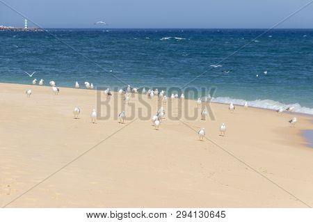 Ilha Deserta In Faro In Algarve (portugal)