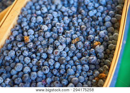 Fresh Blueberry Berries In A Box On Display At The Farmers Market. Vegetable Background. Fruit Marke