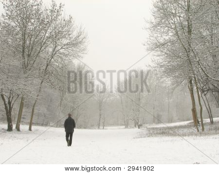 Зимы ходьбы