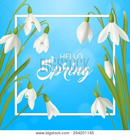 Realistic Snowdrop Flower Hello Summer Poster Background With Flat Frame Ornate Text And Natural Spr