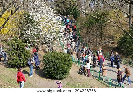 Kyiv, Ukraine - April 7, 2019: People Enjoy Sunny Sunday And First Spring Blossoms At The Fomin Bota