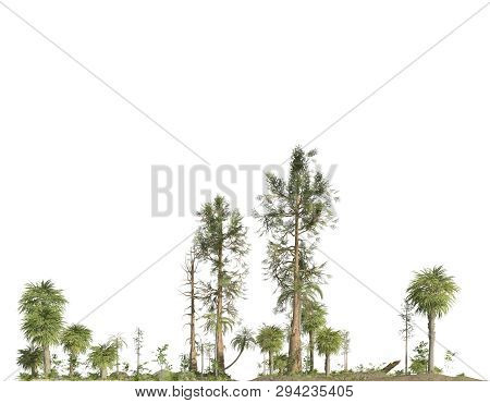 Forest Of The Mesozoic Era Isolated On White Background 3d Illustration