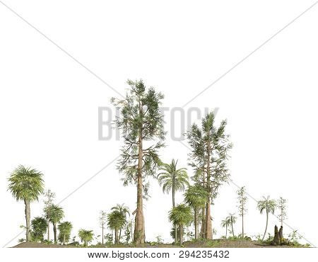 Forest Of The Mesozoic Era Isolated On White Background 3d Illustration