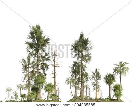 Forest Of The Mesozoic Era Isolated On White Background 3d Illustration