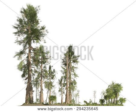 Forest Of The Mesozoic Era Isolated On White Background 3d Illustration