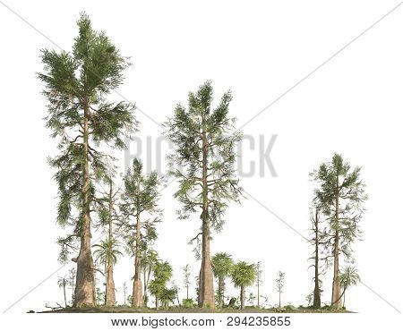 Forest Of The Mesozoic Era Isolated On White Background 3d Illustration