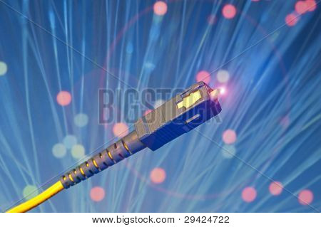 cavi in fibra