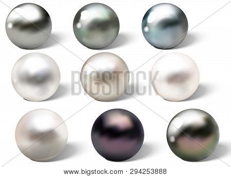 Realistic Different Colors Pearls Set. Round Colored Nacre Formed Within The Shell Of A Pearl Oyster