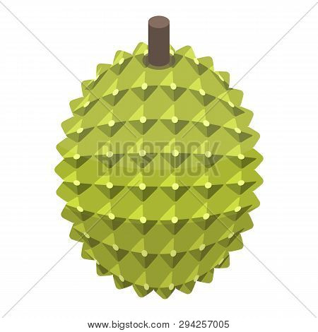 Whole Durian Icon. Isometric Of Whole Durian Vector Icon For Web Design Isolated On White Background