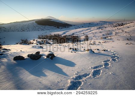 traces of hiker with snowshoes prints on the snow in winter Nebrodi Park, Sicily 