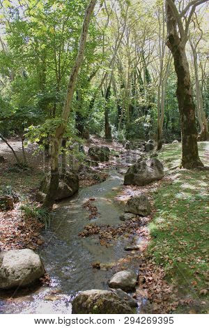 Agios Nikolaos Park Naousa Greece Europe