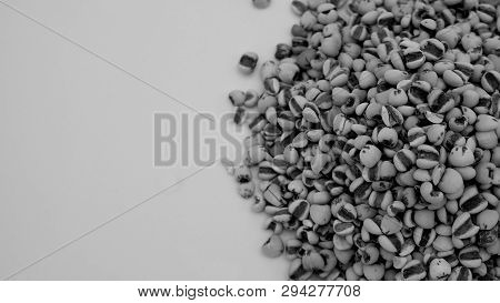 Job's Tears, Also Known As Adlay And Coix On White Background. Popular In Asian Cultures As A Food S