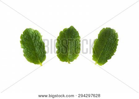 Three Fresh Mint Isolated On White Background. Leaves For Coktails Or Fresh Fruits. Summer Tempalte 