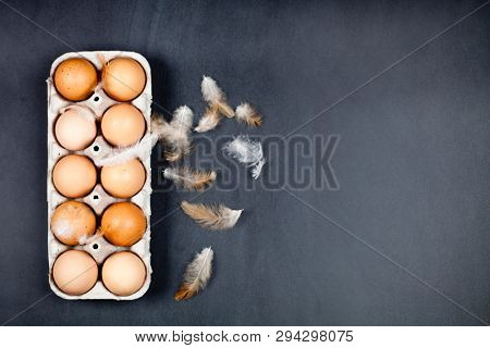 Farm chicken eggs in cardboard container and feathers on black background. Top view with copy space.