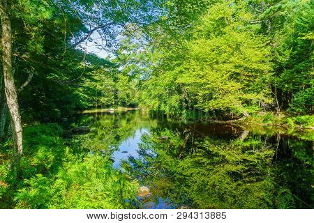 View Of The Mersey River, In Kejimkujik National Park, Nova Scotia, Canada