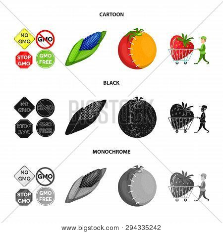 Vector Illustration Of Test And Synthetic Icon. Collection Of Test And Laboratory Vector Icon For St
