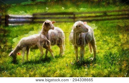 Little Lambs Grazing On A Beautiful Green Meadow With Dandelion. Computer Painting Effect.