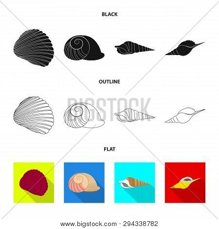 Vector Design Of Animal And Decoration Icon. Set Of Animal And Ocean Vector Icon For Stock.