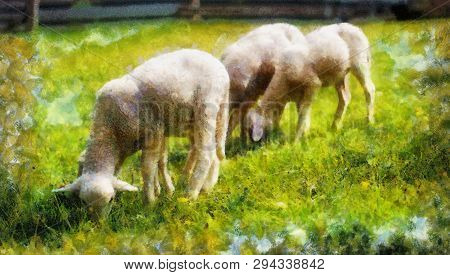 Little Lambs Grazing On A Beautiful Green Meadow With Dandelion. Computer Painting Effect.