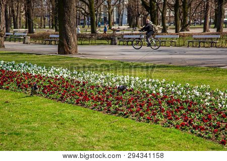 Warsaw, Poland - April 3, 2019: Beautiful Saxon Garden, Park With Red, Blue And White Flowers.