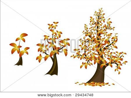 Alberi autunnali vettoriale
