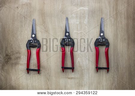 Garden Pruner Or Scissors With Red Handles On Wooden Table. View From Above.