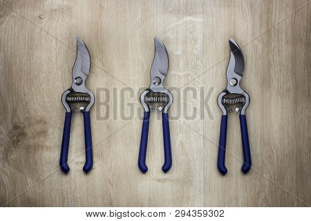 Professional Garden Pruner Or Scissors Or Secateurs Isolated On Wooden Background With Clipping Path