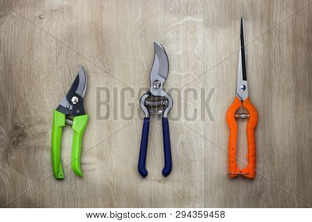 Straight Pruning Shears, Florist Scissors, Multi-tasking Garden Snips For Arranging Flowers, Trimmin